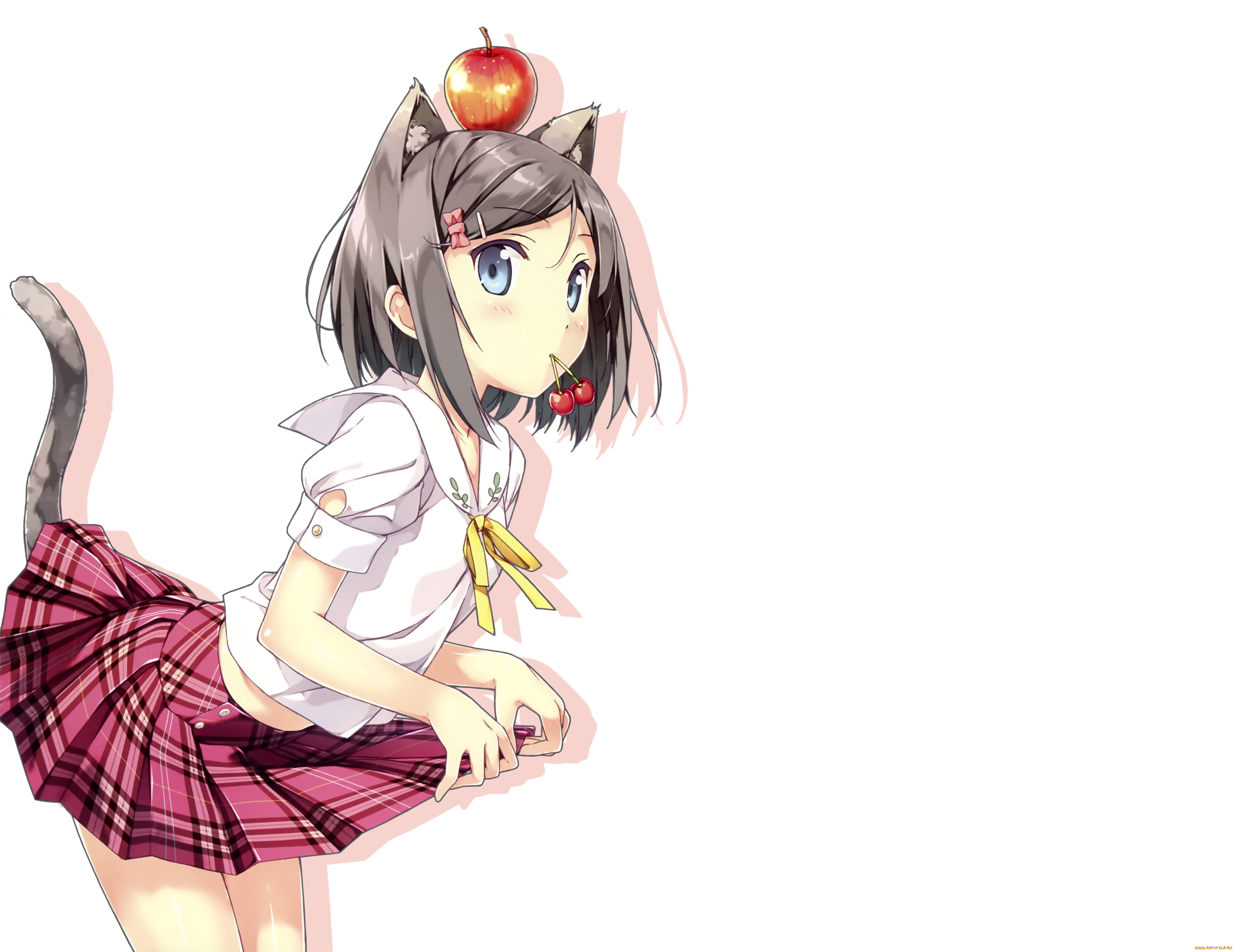 Обои Hentai Ouji to Warawanai Neko Tsukiko Аниме HenNeko, обои для рабочего  стола, фотографии hentai, ouji, to, warawanai, neko, tsukiko, аниме,  henneko, anime Обои для рабочего стола, скачать обои картинки заставки на